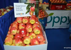 Ambrosia apples from BC Tree Fruits and marketed by Oppy in the US. 